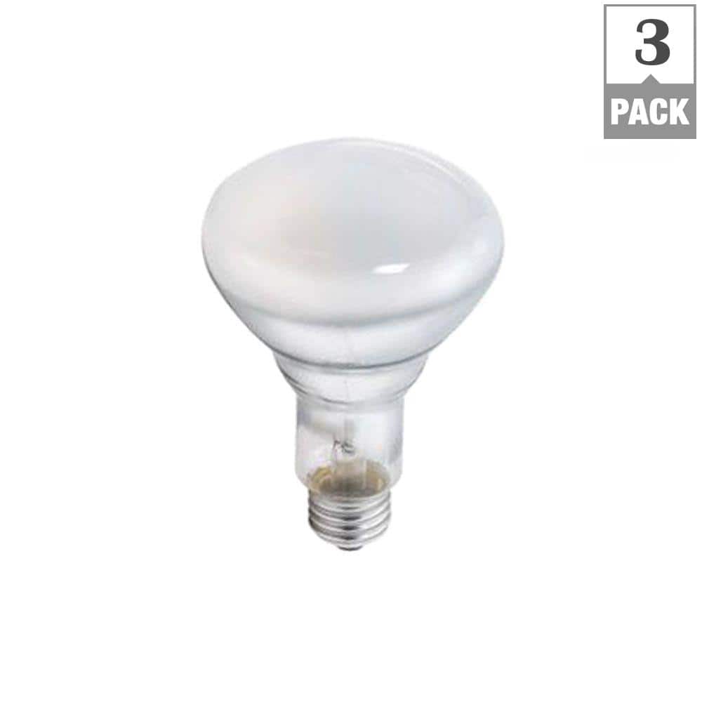 Philips 45-Watt BR30 Incandescent DuraMax Flood Light Bulb, Soft White 2700K (3-Pack)