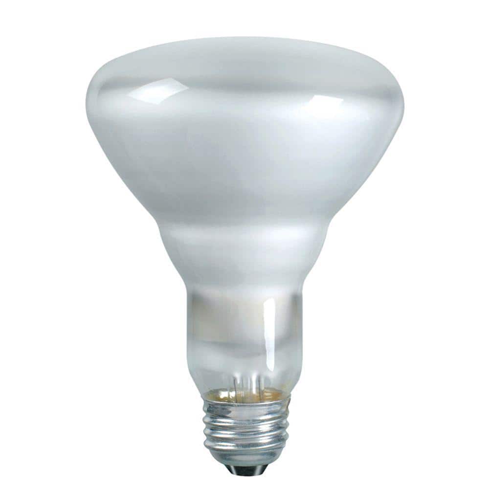 Philips 65-Watt BR30 Incandescent DuraMax Dimmable Flood Light Bulb (3-Pack)