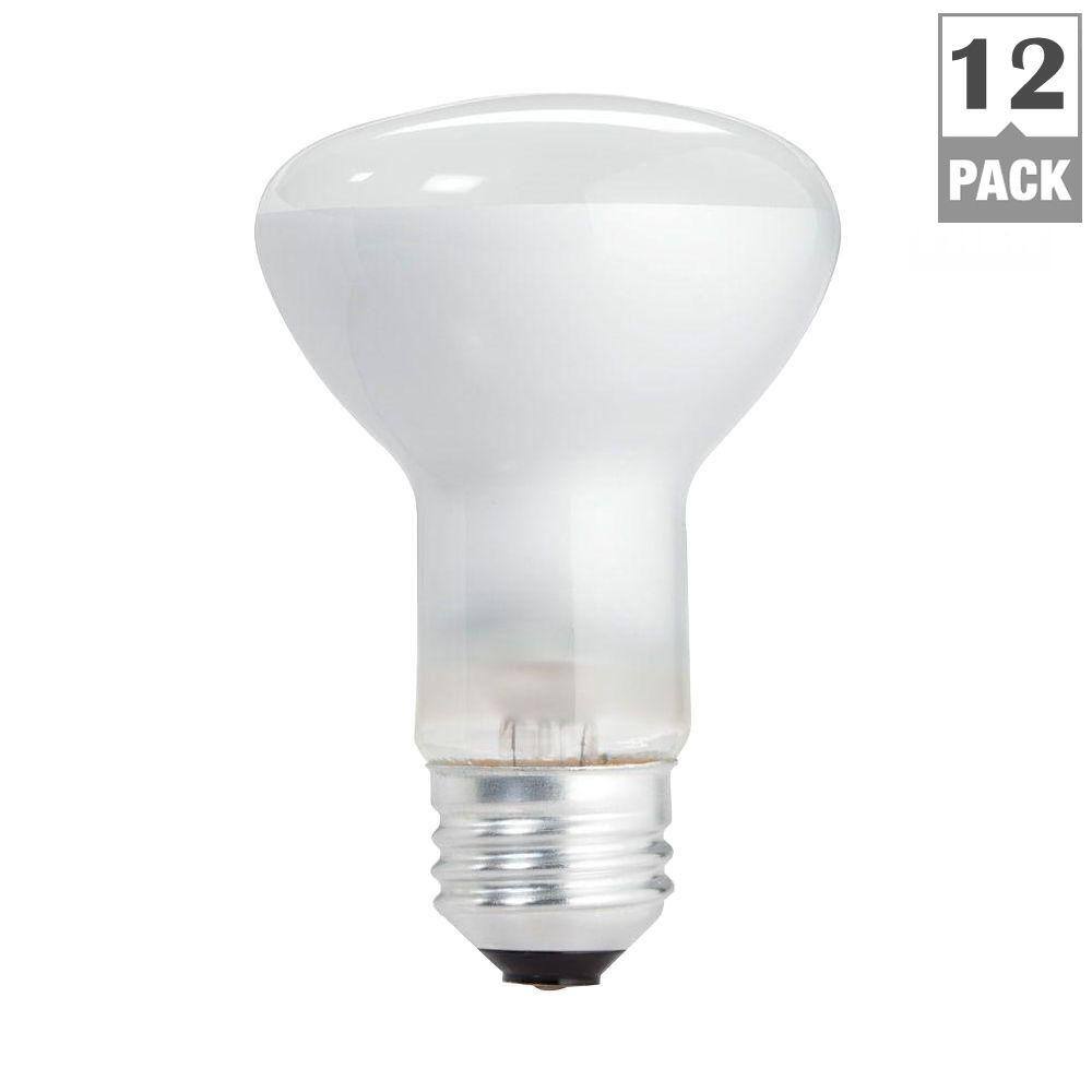 Philips 45-Watt PAR38 Incandescent Flood Light Bulb, Bright White 2800K, 12-Pack