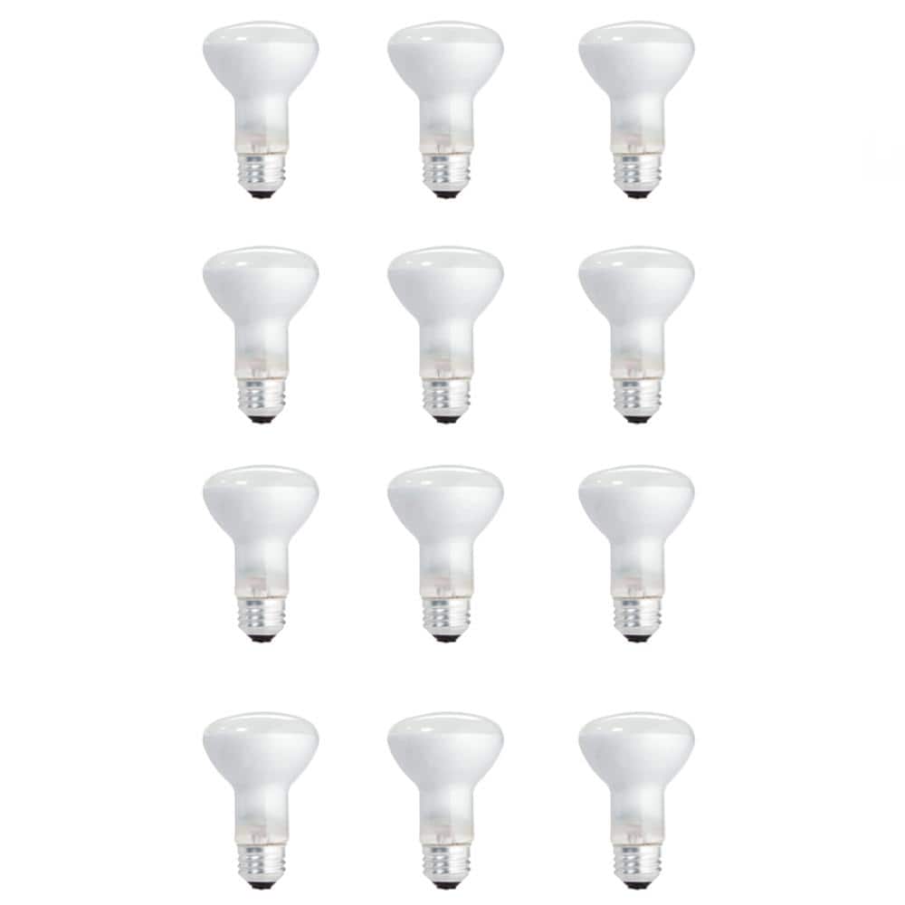 Philips 45-Watt PAR38 Incandescent Flood Light Bulb, Bright White 2800K, 12-Pack