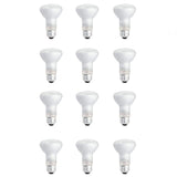 Philips 45-Watt PAR38 Incandescent Flood Light Bulb, Bright White 2800K, 12-Pack