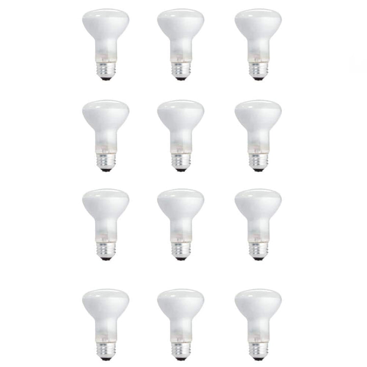 Philips 45-Watt PAR38 Incandescent Flood Light Bulb, Bright White 2800K, 12-Pack