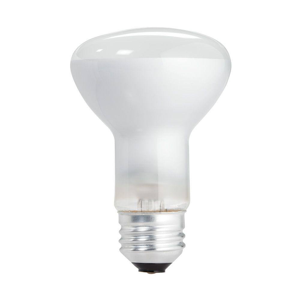Philips 45-Watt PAR38 Incandescent Flood Light Bulb, Bright White 2800K, 12-Pack