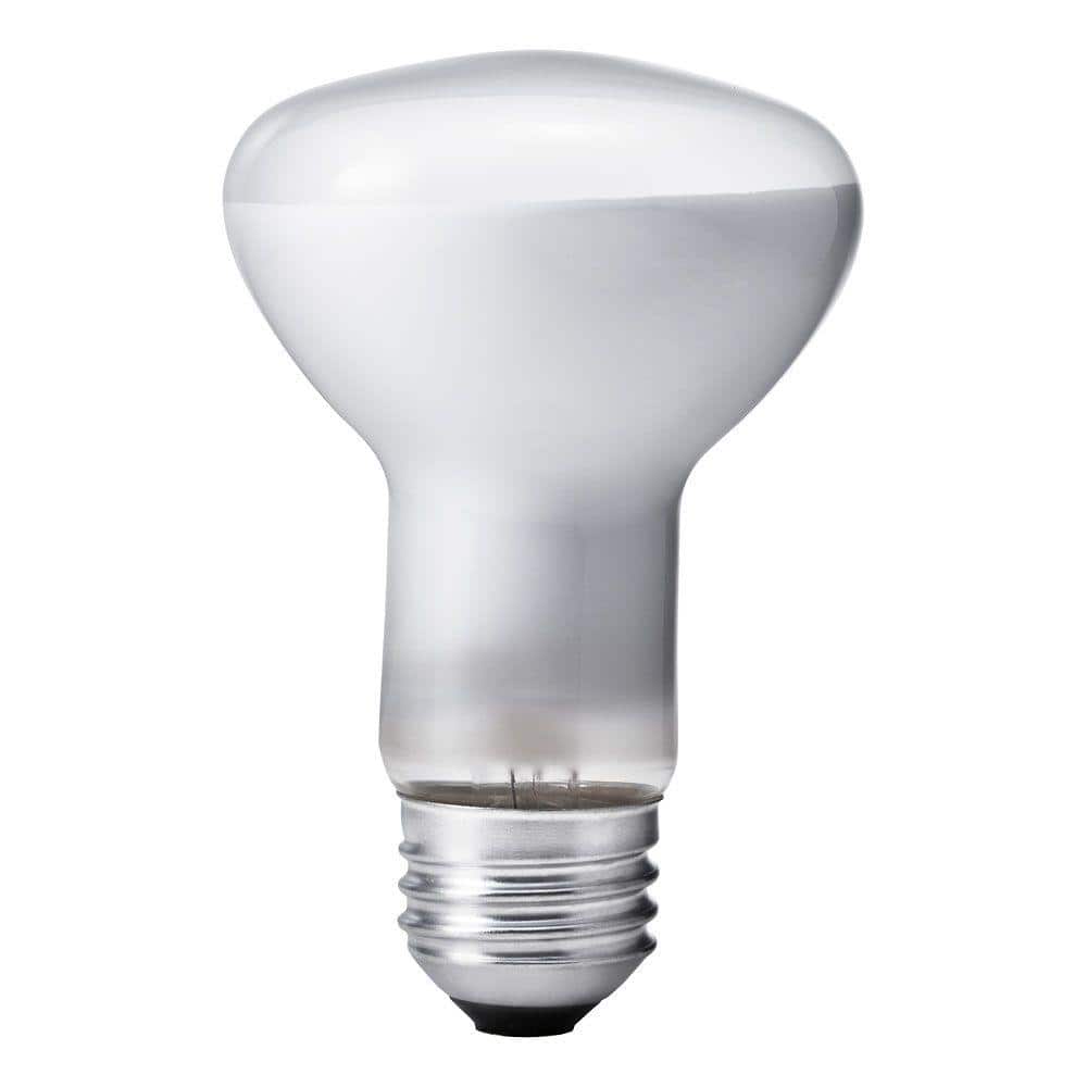 Philips DuraMax 45-Watt Incandescent R20 Dimmable Flood/Spot Light Bulb (3-Pack)