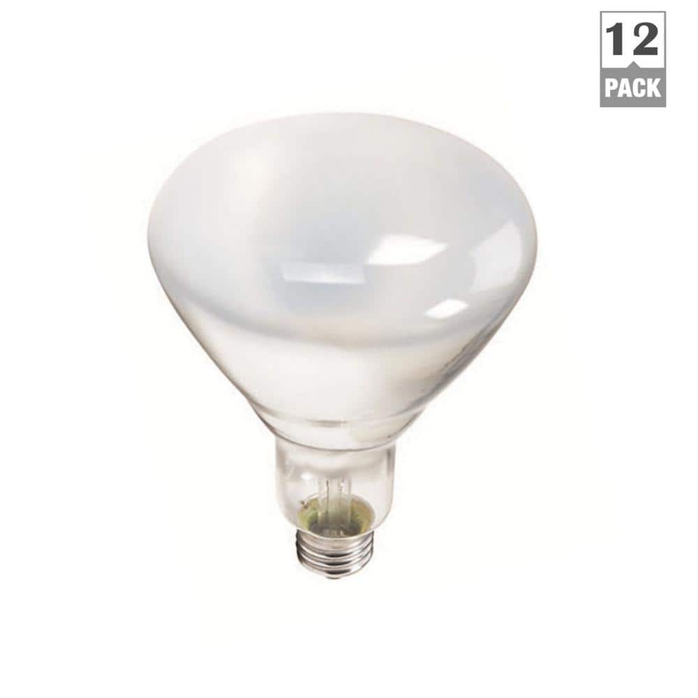 Philips 65-Watt BR40 Incandescent Flood Light Bulb, Soft White 2700K (12-Pack)