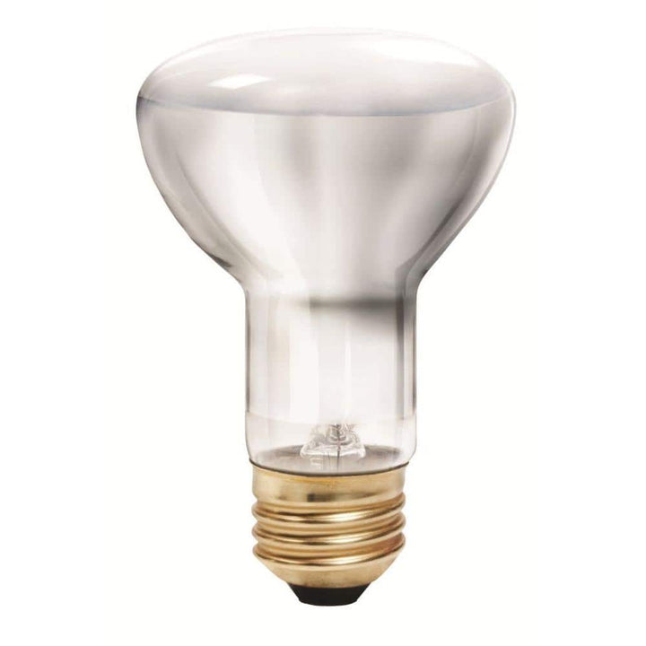 Philips 35-Watt Equivalent R20 Halogen Flood Light Bulb (6-Pack)