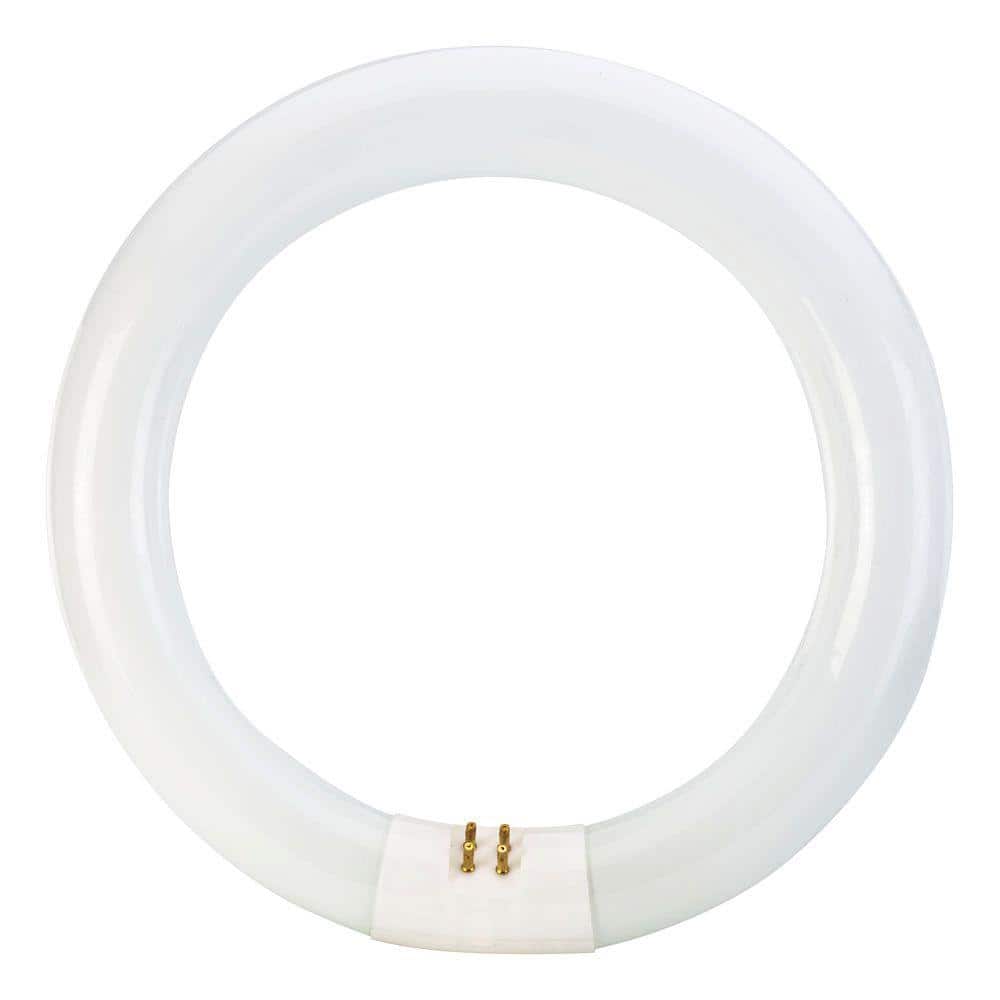 Philips 22-Watt 8 in. Linear T9 Fluorescent Tube Light Bulb, Cool White 4100K, Circline