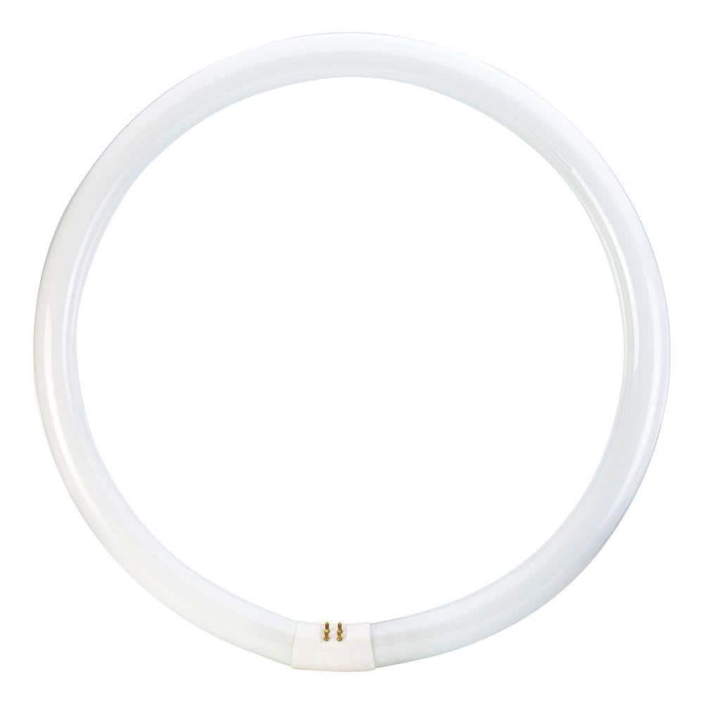 Philips 40-Watt 16 in. Circline T9 Fluorescent Tube Light Bulb, Cool White 4100K (1-Bulb)