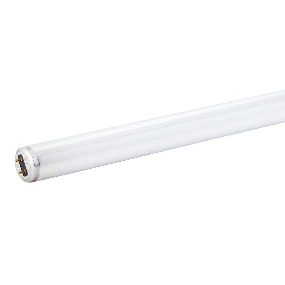 Philips 15-Watt 18 in. Linear T8 Fluorescent Tube Light Bulb, Cool White 4100K