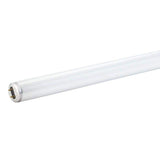 Philips 15-Watt 18 in. Linear T8 Fluorescent Tube Light Bulb, Cool White 4100K