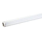 Philips 18 in. 15-Watt 4100K Linear T8 Fluorescent Light Bulb, Cool White (30-Pack)