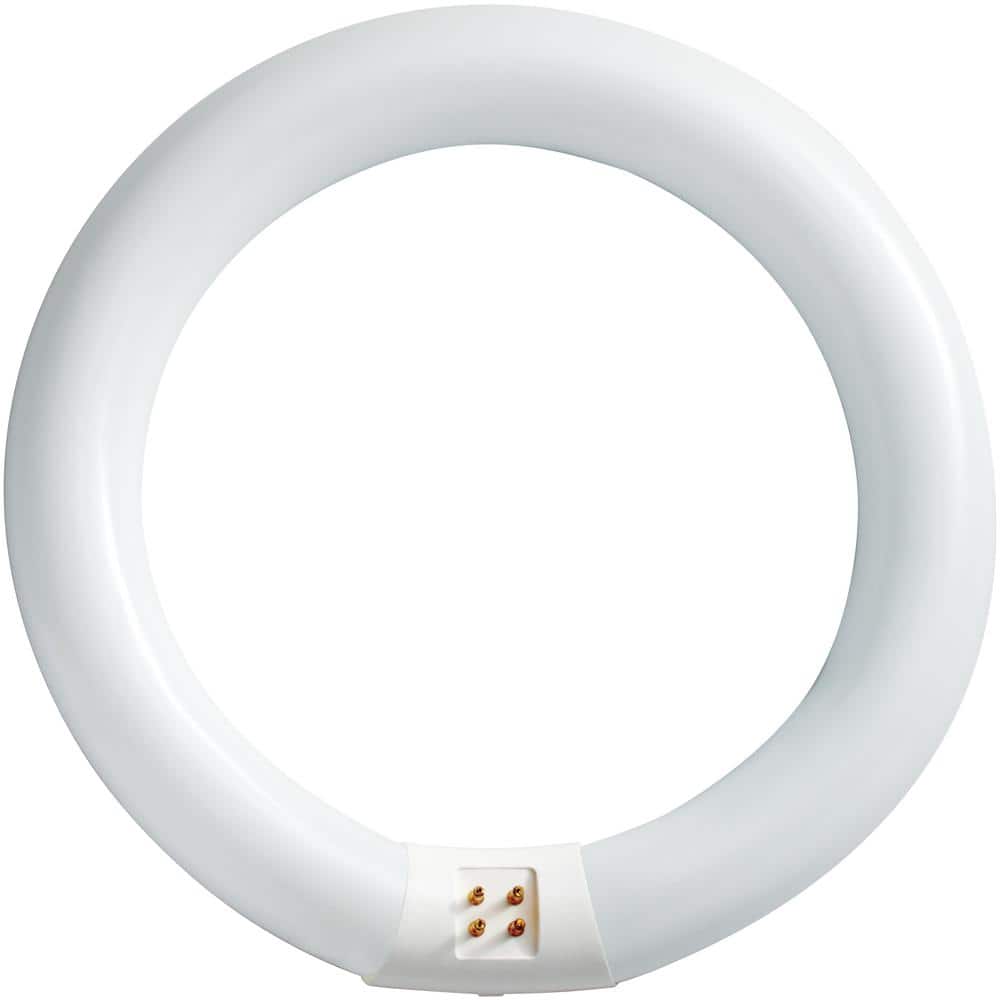 Philips 22-Watt 8 in. Linear T9 Fluorescent Tube Light Bulb, Daylight Deluxe 6500K, Circline