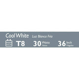Philips 30-Watt 3 ft. Linear T8 ALTO Fluorescent Tube Light Bulb, Cool White 4100K