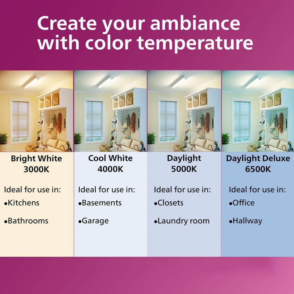 Philips 60-Watt Equivalent A19 Non-Dimmable Energy Saving LED Light Bulb, Daylight 5000K, 4-Pack