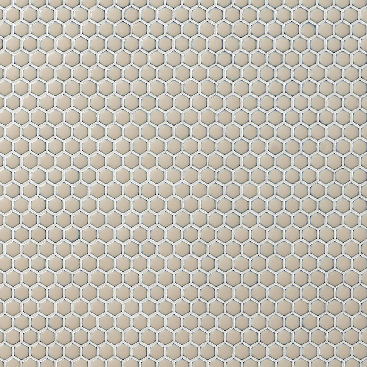 Eden Latte Beige Rimmed Hexagon Polished Porcelain Mosaic Tile