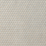 Eden Latte Beige Rimmed Hexagon Polished Porcelain Mosaic Tile