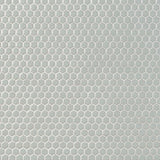 Eden Antiguan Sky Gray Rimmed Hexagon Polished Porcelain Mosaic Tile