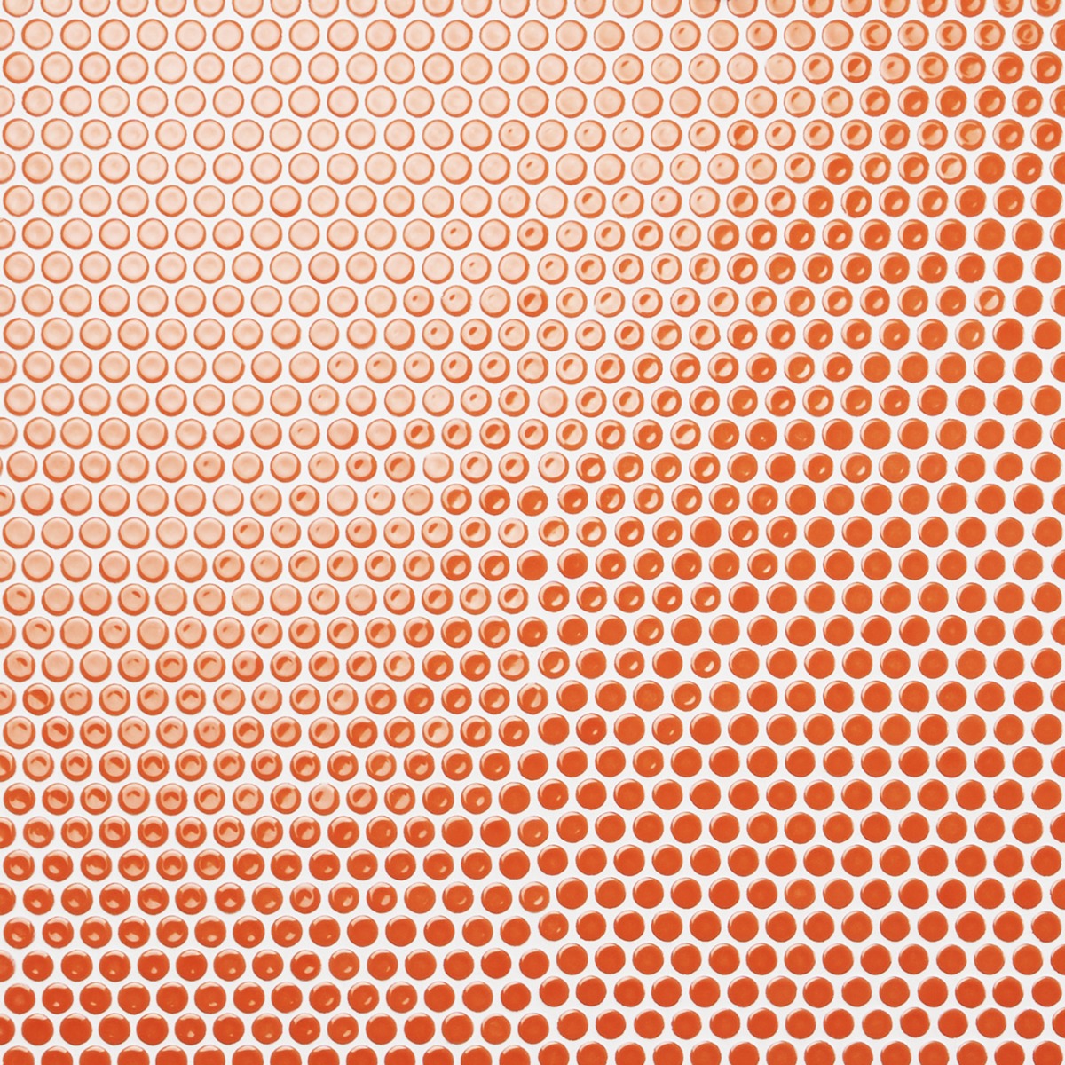 Eden Orange Nectar Rimmed Penny Round Polished Porcelain Mosaic Tile