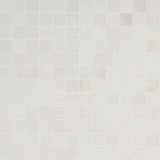 Bronx White Matte Porcelain Mosaic Tile - 2x2 Inches