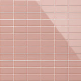 Tilebar Park Hill Pink 3x6 Polished Porcelain Subway Tile