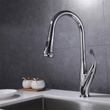 Vanity Art 9.68 in. Single-Handle Pull-Down Sprayer Kitchen Faucet in Chrome