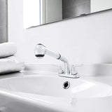 WASSERMAN FAUCETS Dual Handle Pull out Sprayer Laundry Utility Faucet with Washerless Cartridge in Chrome