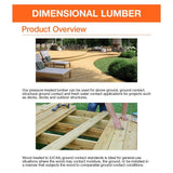 ProWood 5-Step Ground Contact Pressure Treated Pine Stair Stringer