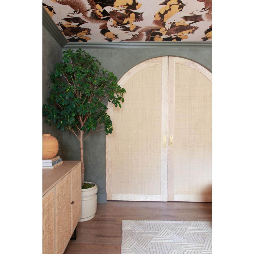 Ornamental Mouldings Sawtooth 3/4 in. x 5-1/2 in. x 96 in. Primed Wood Crown Moulding