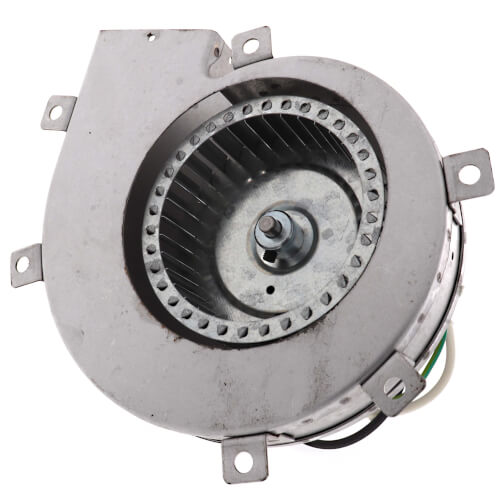 Goodman-Amana R0156859 inducer motor - detail view (Voltage: 115V; RPM: 3000)