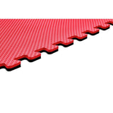 Norsk Red/Black 24 in. x 24 in. EVA Foam Truly Reversible Interlocking Tile (54-Tile)