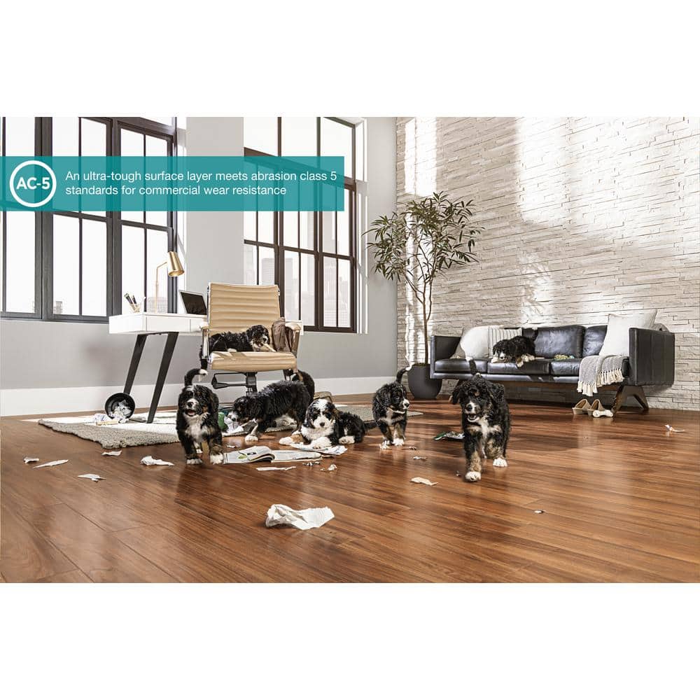 Pergo Defense+ Roselawn Teak 14 mm T x 5.2 in. W Waterproof Laminate Wood Flooring (13.74 sqft/case)