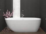 ANZZI Ami 67 in. Acrylic Flatbottom Freestanding Bathtub, Glossy White, Center Drain