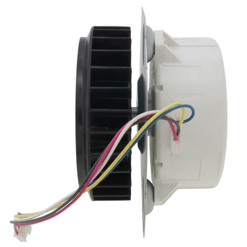 Rheem RTG20212K blower motor - detail view (Product Type: Blower Motor)