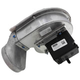York S1-02649695000 blower motor - detail view (Product Type: Blower Motor)