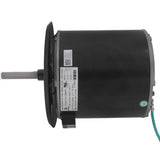 York S1-6008079 motor - detail view (Voltage: 230V; Horse Power: 3/4)