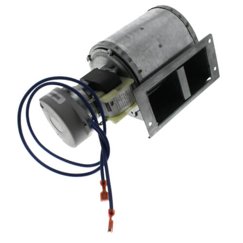 York S1-7990-6451 inducer motor - detail view (Voltage: 120v; RPM: 2950)