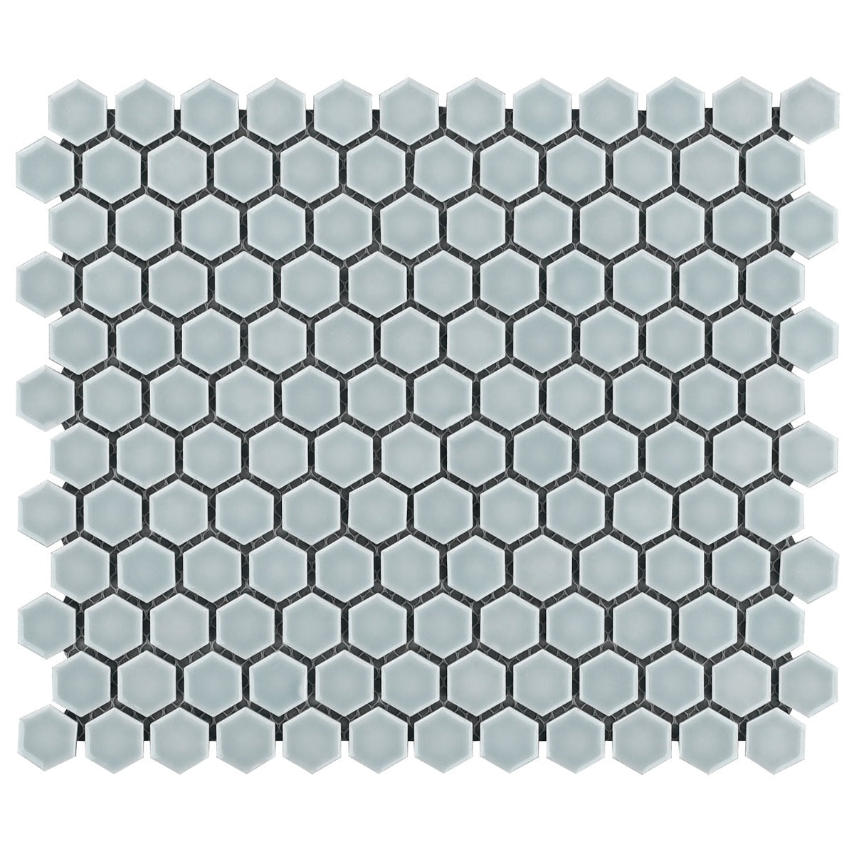 Eden Modern Gray Rimmed 1" Hexagon Polished Porcelain Mosaic Tile
