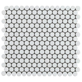 Eden White Penny Round Matte Porcelain Mosaic Tile for Bathrooms and Backsplashes