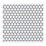Eden White Penny Round Polished Porcelain Mosaic Tile