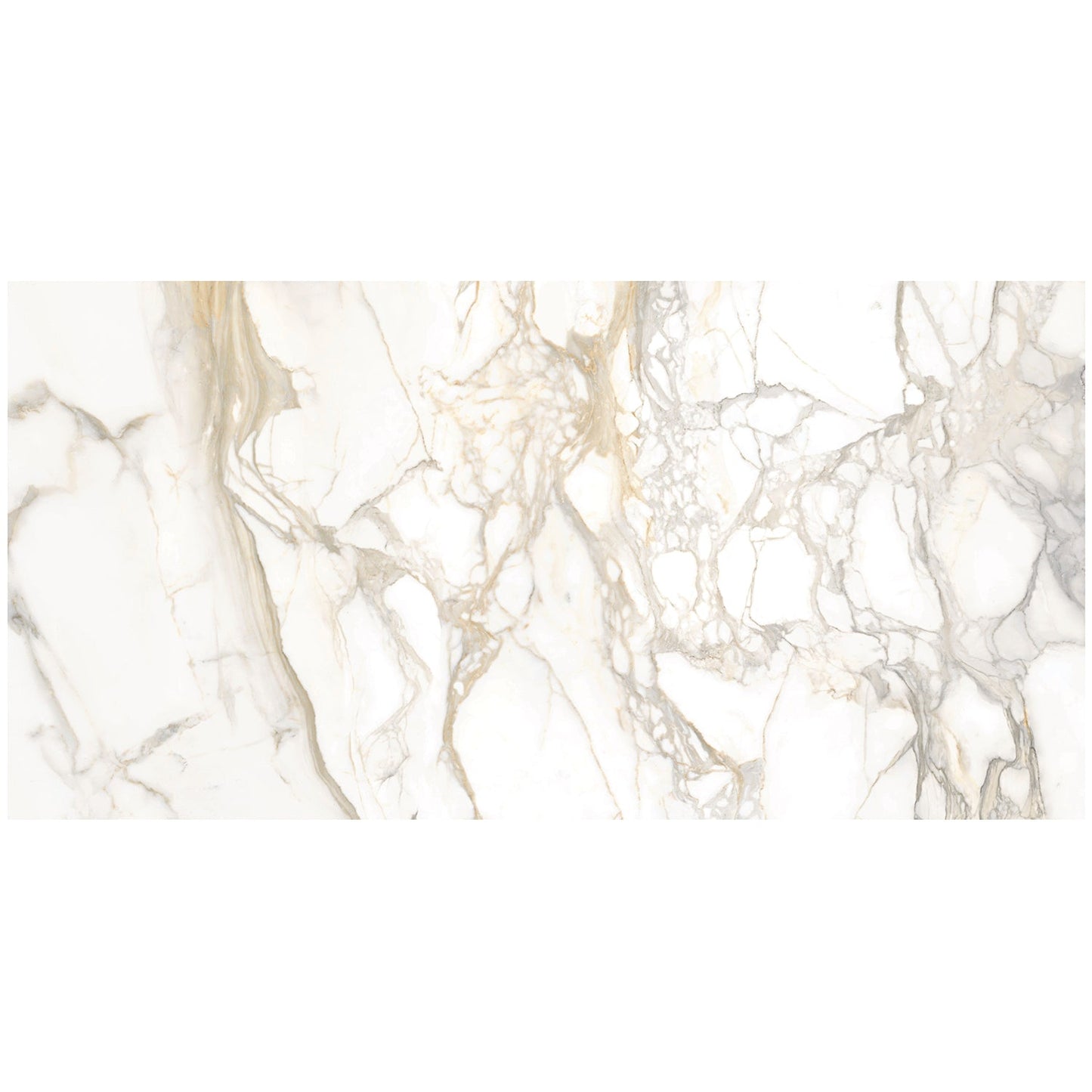 Tilebar Marmi Slim Bernini Oro 30x60 Polished Porcelain Slab