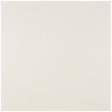 NewTech Bianco White 24x24 Matte Double Loaded Porcelain Tile