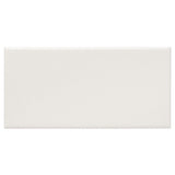 Park Hill Monumental Mist White 3x6 Polished Porcelain Subway Tile