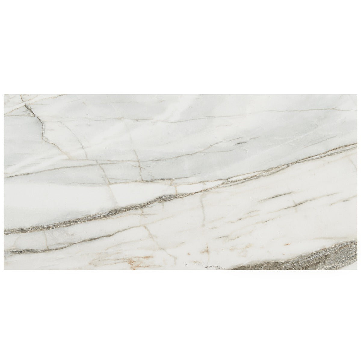 DreamStone Carpaccio White 12x24 Matte Porcelain Tile - Lux Tile