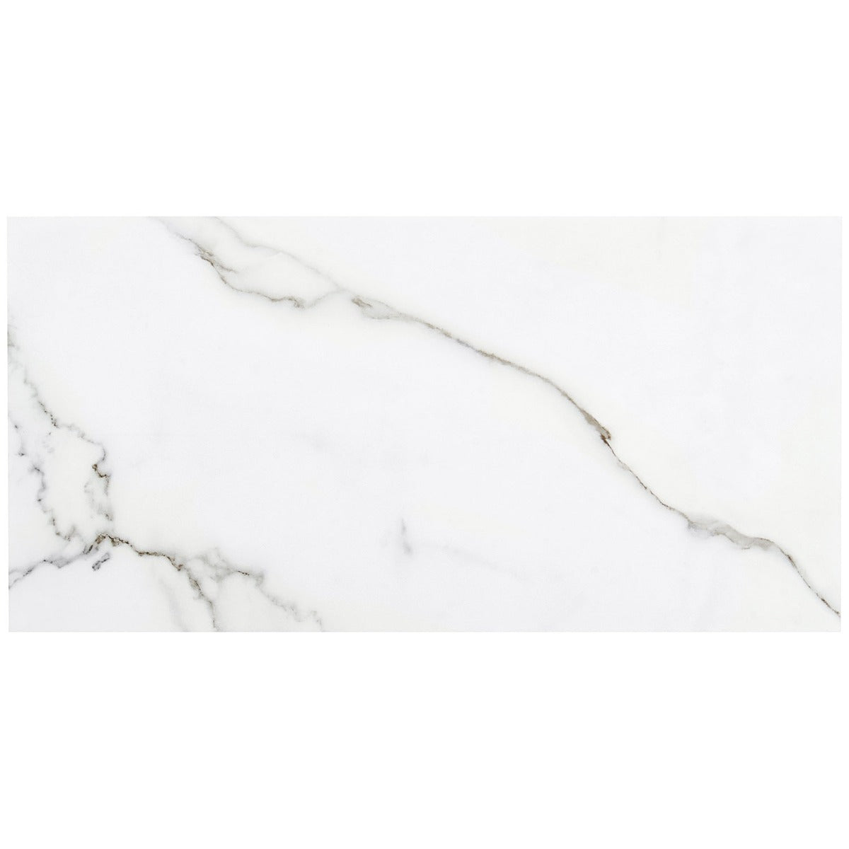 DreamStone Statuario Valley Matte Porcelain Tile 12x24 - Lux Tile