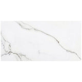 DreamStone Statuario Valley Matte Porcelain Tile 12x24 - Lux Tile
