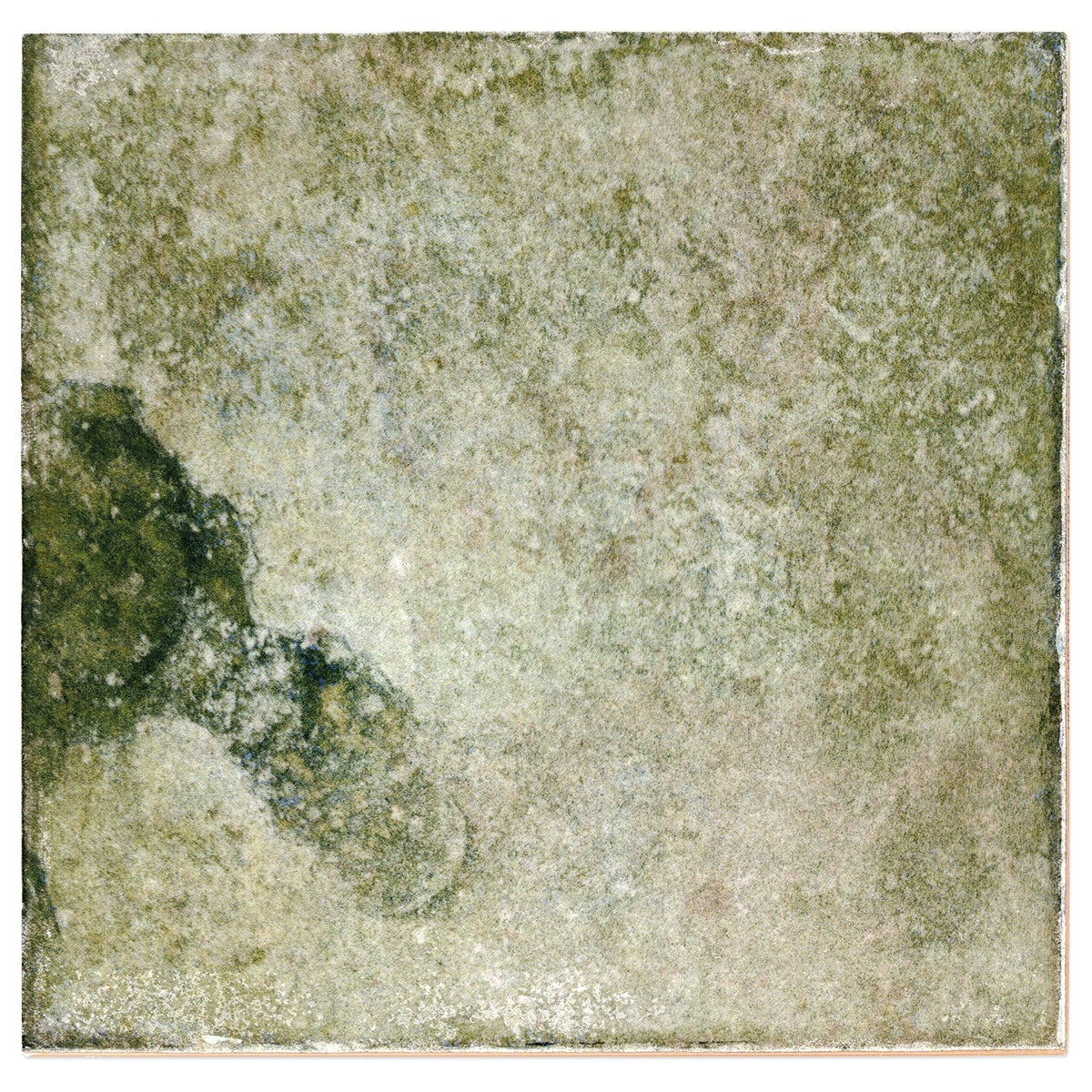 Angela Harris Dunmore Green 8x8 Polished Ceramic Wall Tile