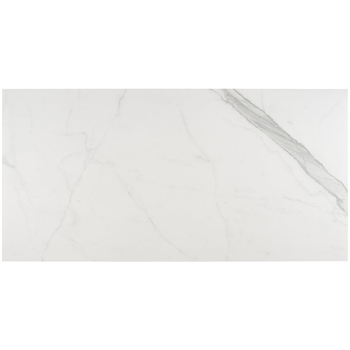 Tilebar Marmi Bianco Venato Matte Porcelain Tile 24x48