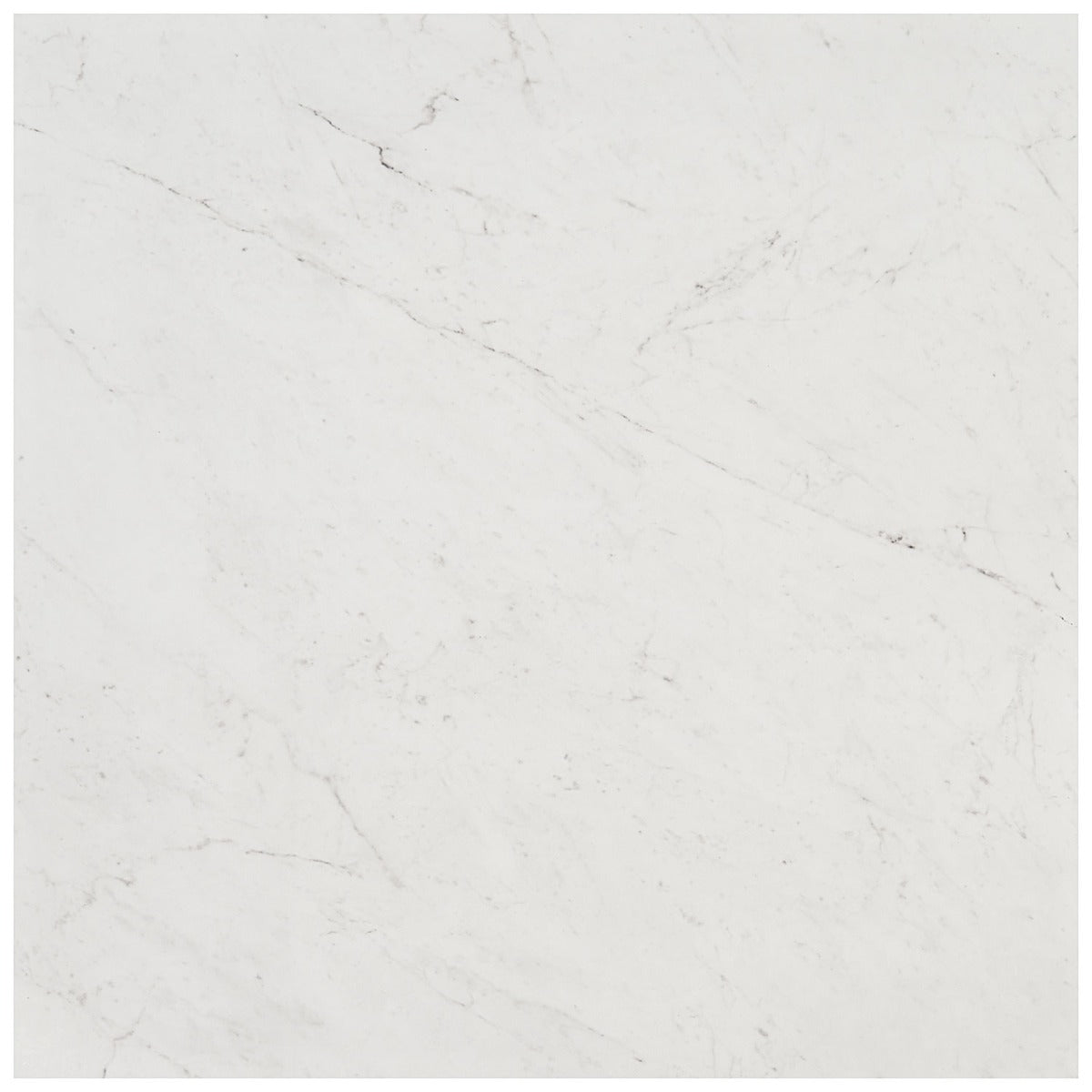 DreamStone Carrara Giola 24x24 Polished Porcelain Tile