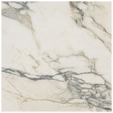 Dreamstone Calacatta Rustico Beige 24x24 Matte Porcelain Tile