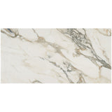 Dreamstone Calacatta Rustico Beige 24x48 Polished Porcelain Tile